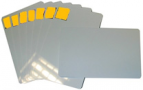 14 Mil CR80 Self Adhesive Cards w/Gold Holopatch - 100 pack